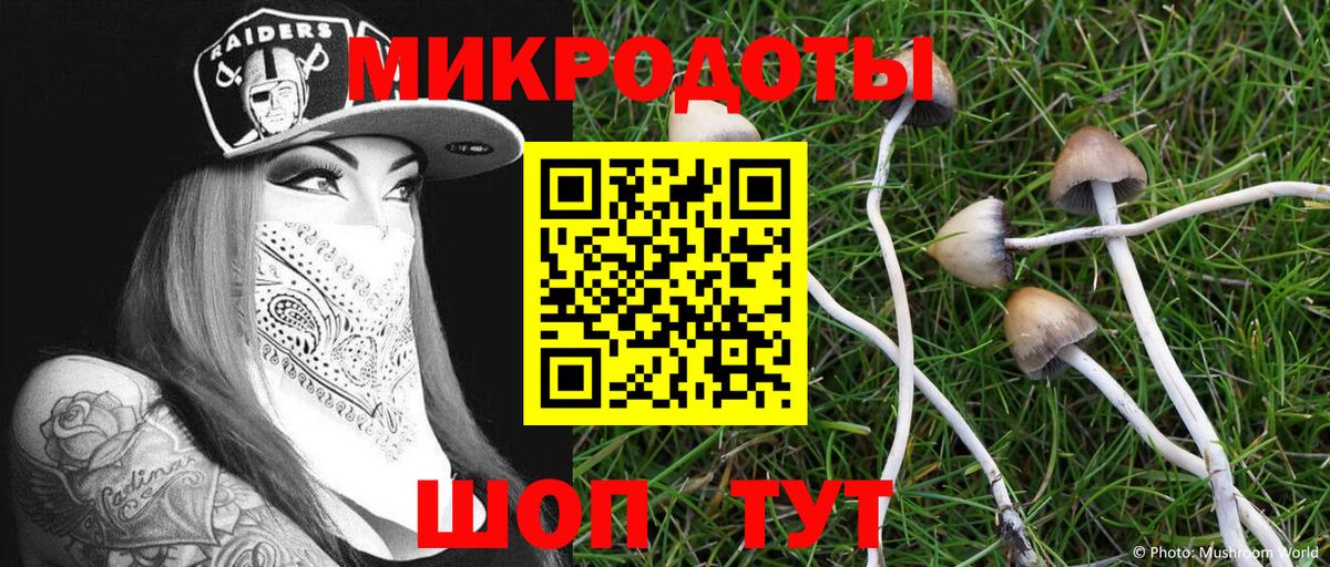 Псилоцибиновые грибы мухоморы Сафоново