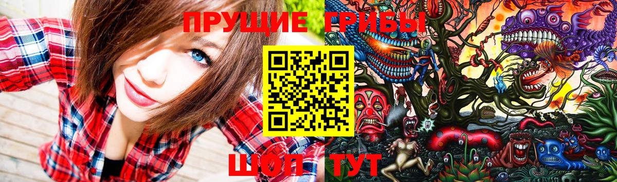 Галлюциногенные грибы Psilocybine cubensis  Вход с VPN  Сафоново  Галлюциногенные грибы прущие грибы 